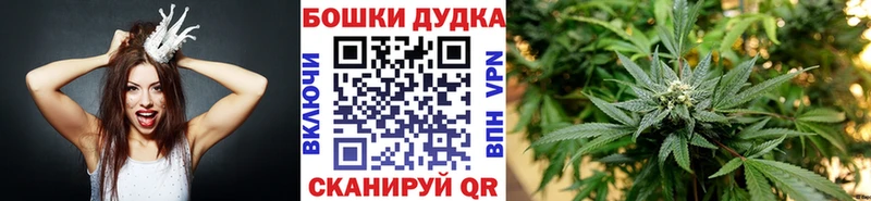 Конопля конопля  Купить  Кубинка 